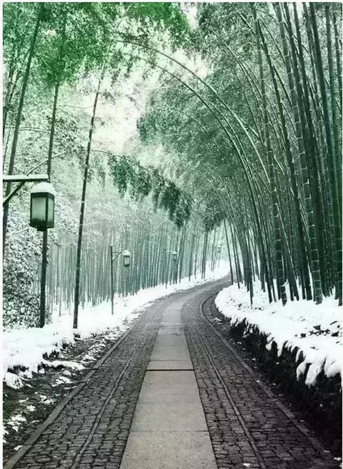 成功，就是在奮斗中把握機會